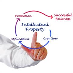 Capitalize a Patent 