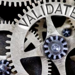 Project validation 
